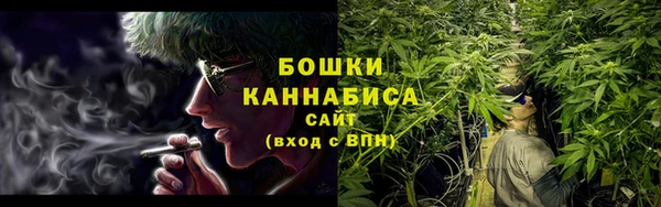 PSILOCYBIN Беломорск